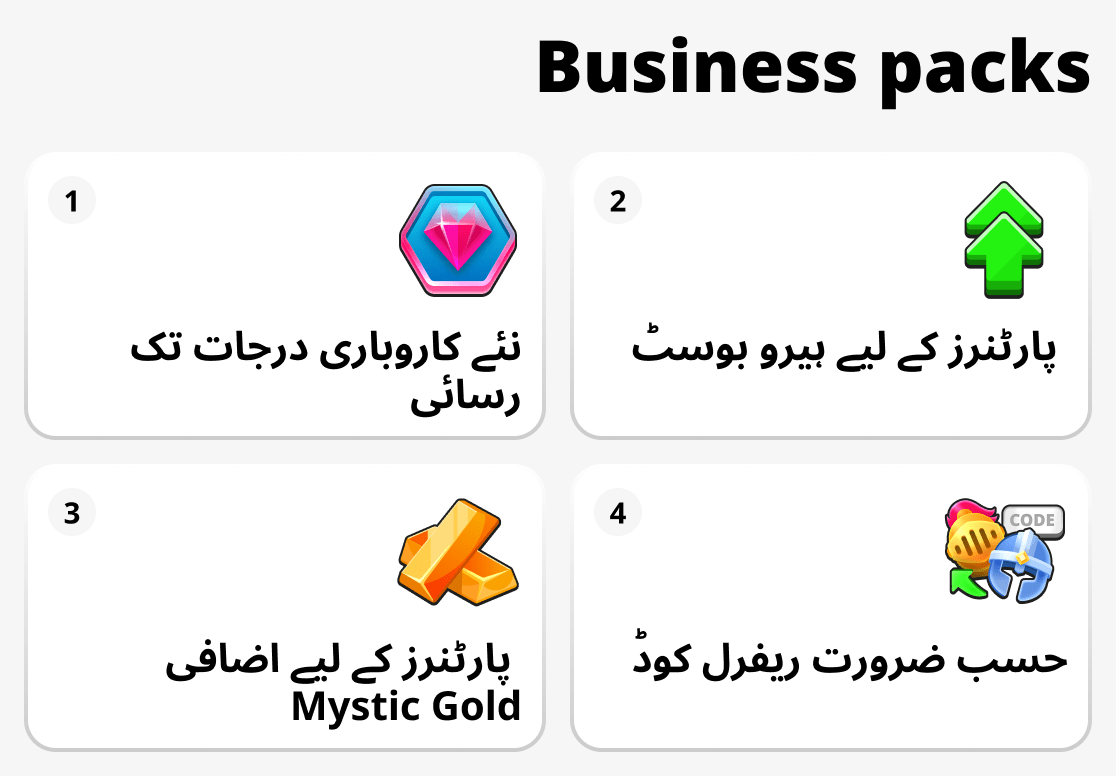 بزنس پیکجز کیا پیش کرتے ہیں