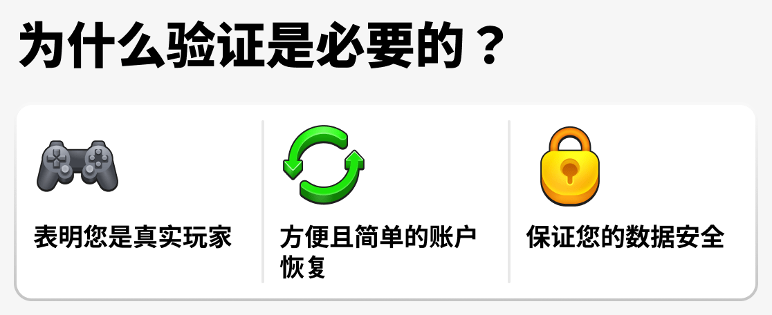 为什么需要验证